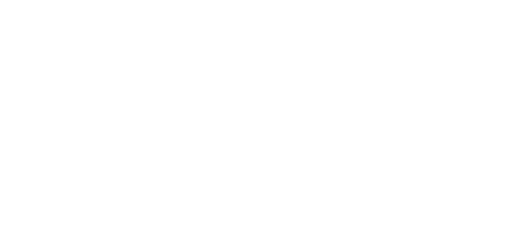 RealAssure Insurance